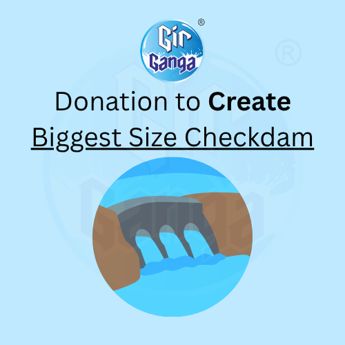 Biggest Checkdam Project