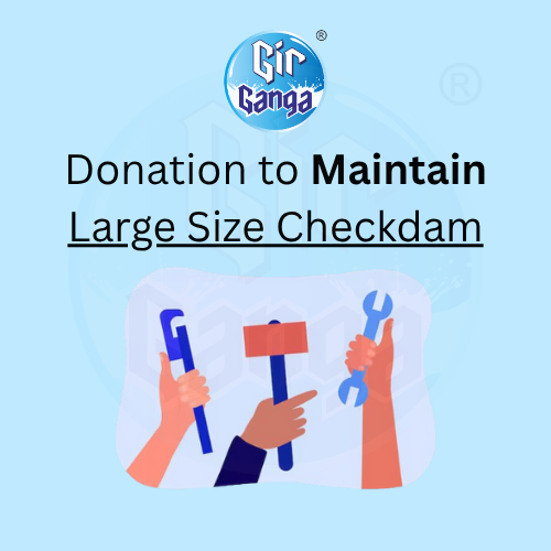 Maintain Large Checkdam
