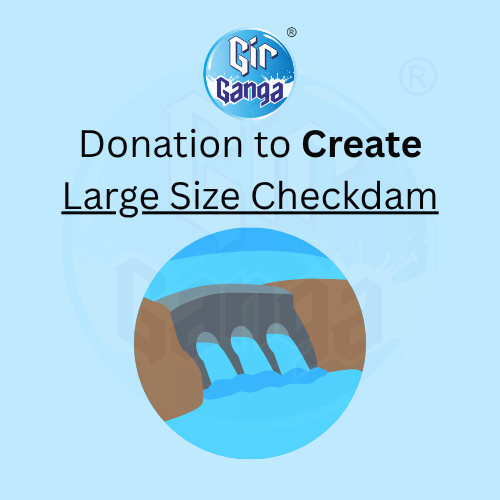 Donation for Large Checkdam
