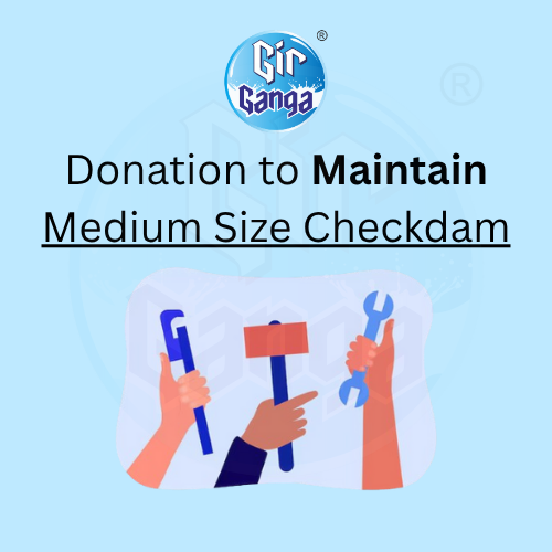Maintain Medium Checkdam