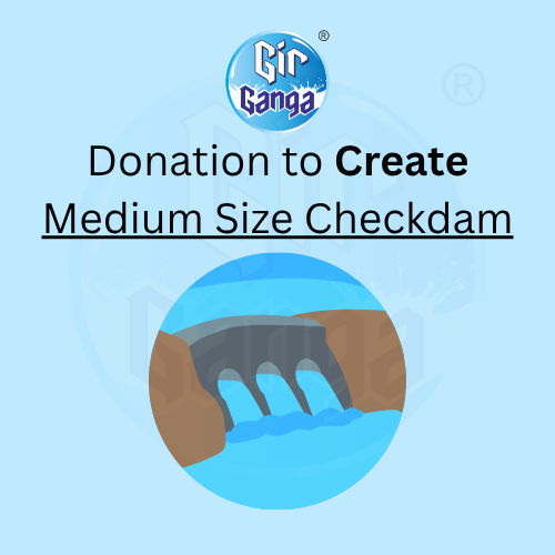 Medium Checkdam Project