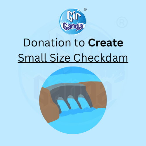 Small Checkdam Project
